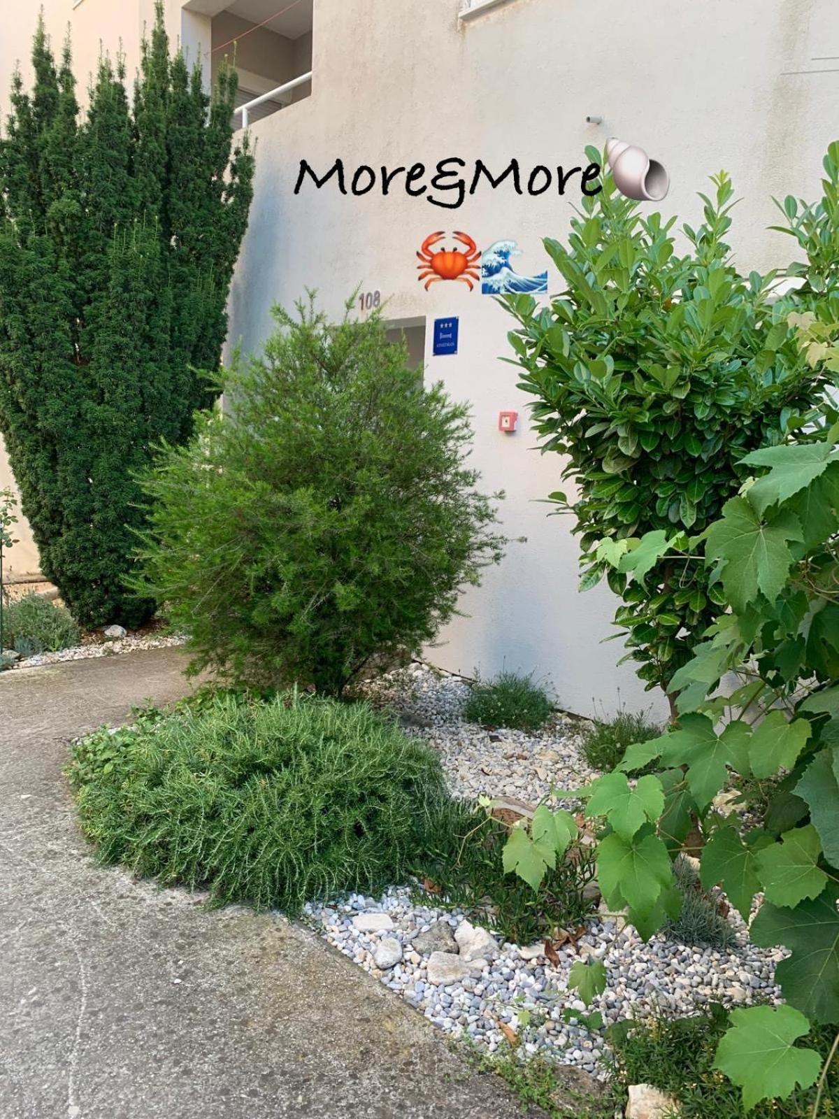 More&more *